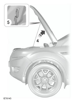 Ford Transit Connect. Ouverture du capot moteur